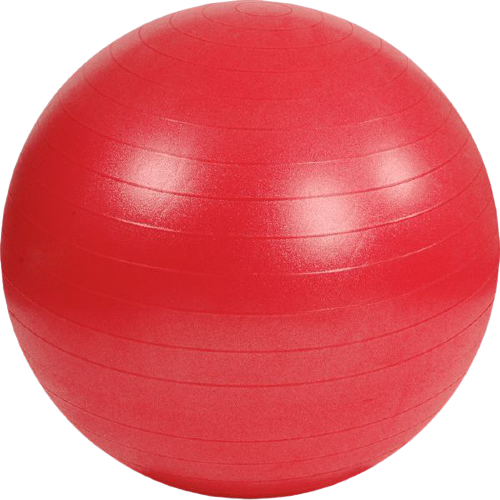 Ballons AB Gym Ball